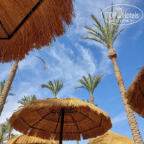 фото из отзыва ID 2683400