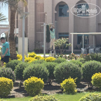 фото из отзыва ID 2683448