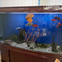 фото из отзыва ID 2683452