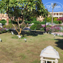 фото из отзыва ID 2683464