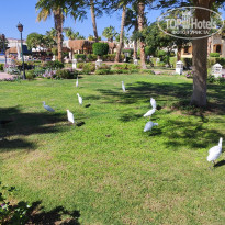 фото из отзыва ID 2683464