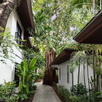 фото из отзыва ID 2683478