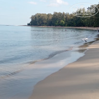 фото из отзыва ID 2683478