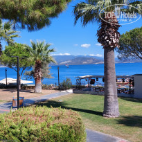 фото из отзыва ID 2683479