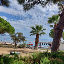 фото из отзыва ID 2683479