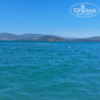 фото из отзыва ID 2683479