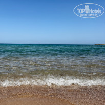 фото из отзыва ID 2683538