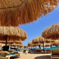 фото из отзыва ID 2683544