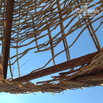 фото из отзыва ID 2683546