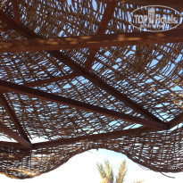 фото из отзыва ID 2683546