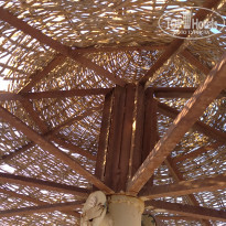 фото из отзыва ID 2683546