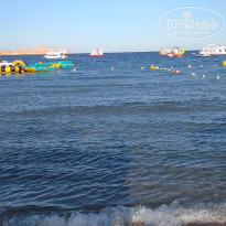 фото из отзыва ID 2683546