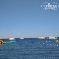 фото из отзыва ID 2683546