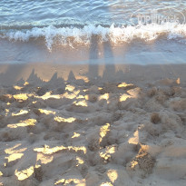 фото из отзыва ID 2683546