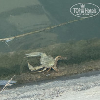 фото из отзыва ID 2683592