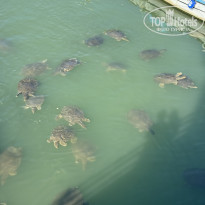 фото из отзыва ID 2683592