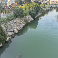 фото из отзыва ID 2683592