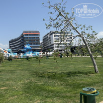 фото из отзыва ID 2683594