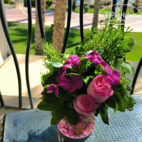 фото из отзыва ID 2683574