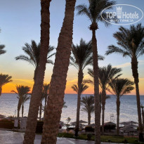 фото из отзыва ID 2683574