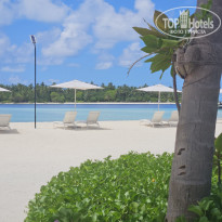 фото из отзыва ID 2683637