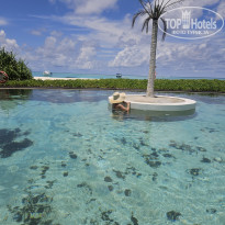 фото из отзыва ID 2683637