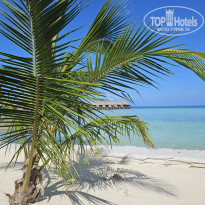 фото из отзыва ID 2683637