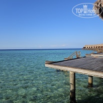 фото из отзыва ID 2683637