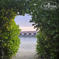 фото из отзыва ID 2683637