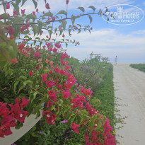 фото из отзыва ID 2683637