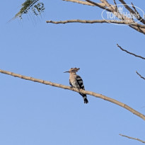 фото из отзыва ID 2683662