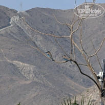 фото из отзыва ID 2683662