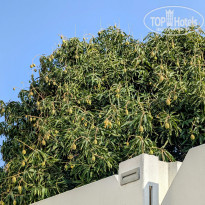 фото из отзыва ID 2683662