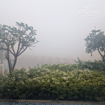 фото из отзыва ID 2683662