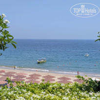 фото из отзыва ID 2683662