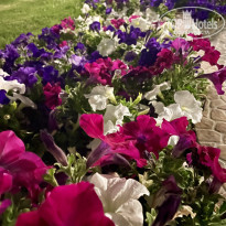 фото из отзыва ID 2683707