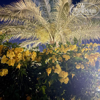 фото из отзыва ID 2683707