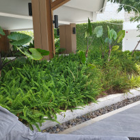 фото из отзыва ID 2683717