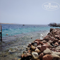 фото из отзыва ID 2683718