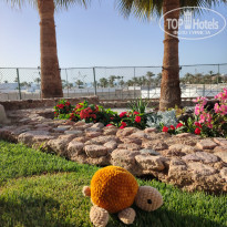 фото из отзыва ID 2683718