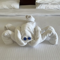 фото из отзыва ID 2683732