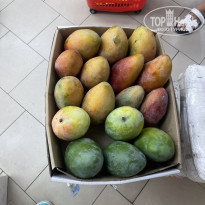 фото из отзыва ID 2683815