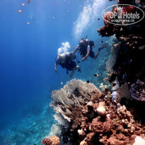 фото из отзыва ID 2683815