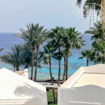 фото из отзыва ID 2683821