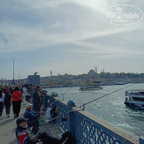 фото из отзыва ID 2683835