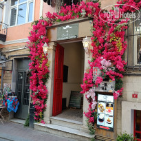 фото из отзыва ID 2683835