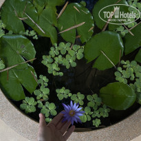 фото из отзыва ID 2683870