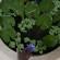 фото из отзыва ID 2683870