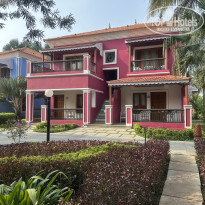 фото из отзыва ID 2683871