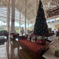 фото из отзыва ID 2683871